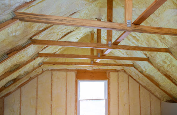 Best Insulation Maintenance and Repair in Walhalla, SC